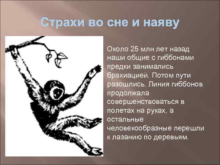 Страхи во сне и наяву  Около 25 млн лет назад   наши