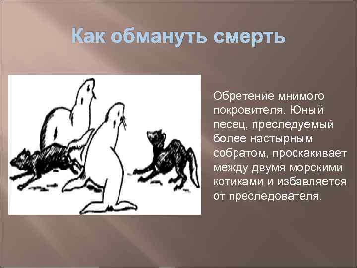 Как обмануть смерть   Обретение мнимого   покровителя. Юный   песец,