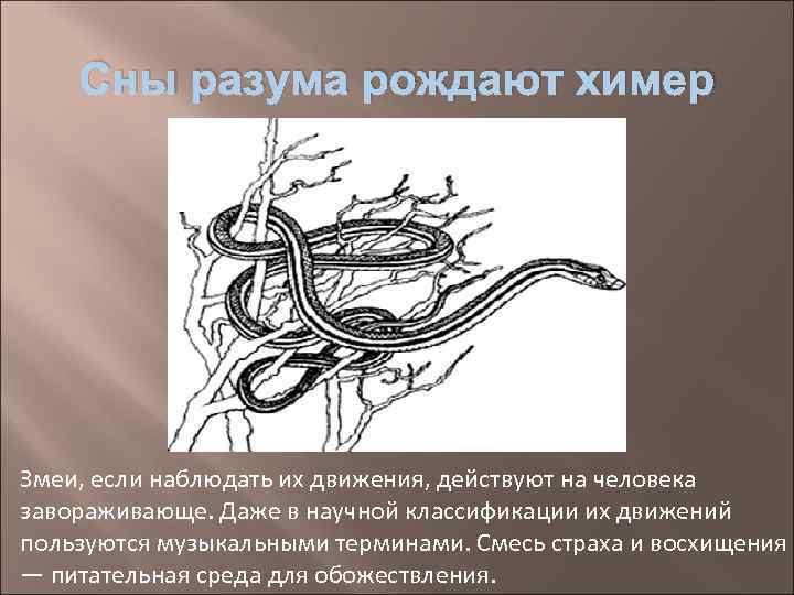   Сны разума рождают химер Змеи, если наблюдать их движения, действуют на человека