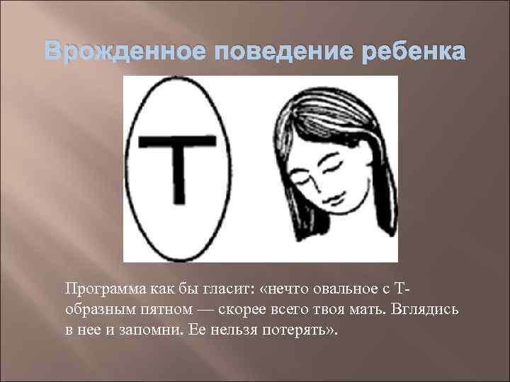 Врожденное поведение ребенка Программа как бы гласит:  «нечто овальное с Т- образным пятном
