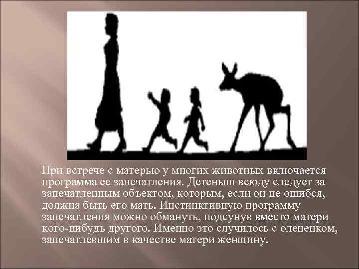При встрече с матерью у многих животных включается программа ее запечатления. Детеныш всюду следует