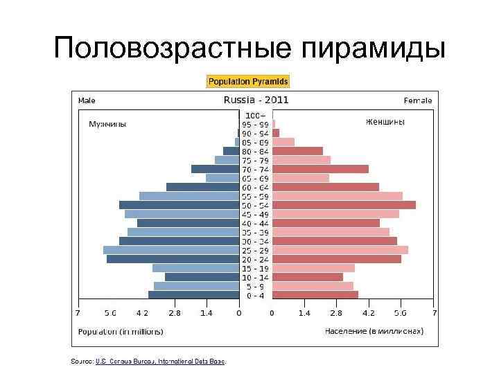 Половозрастные пирамиды 
