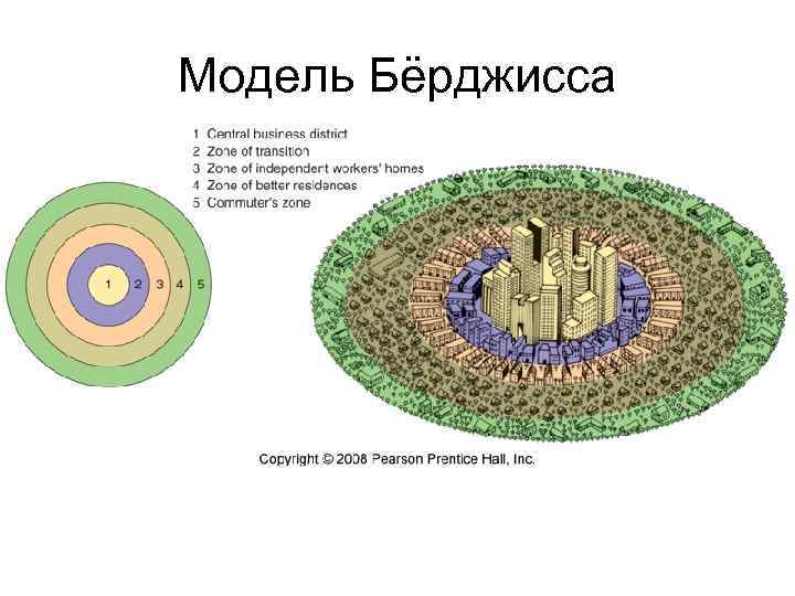 Модель Бёрджисса 