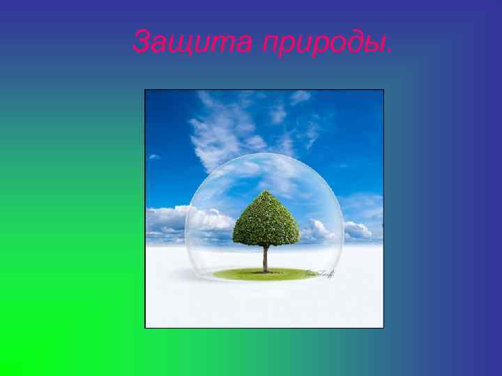 Защита природы. 
