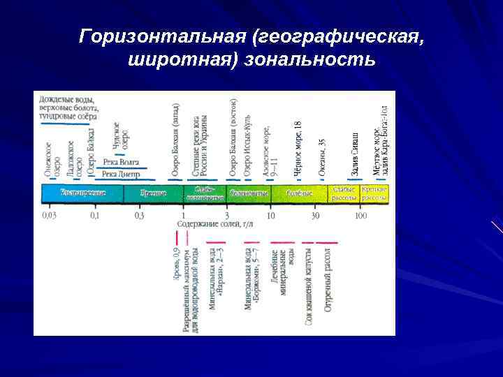 Горизонтальная (географическая, широтная) зональность 