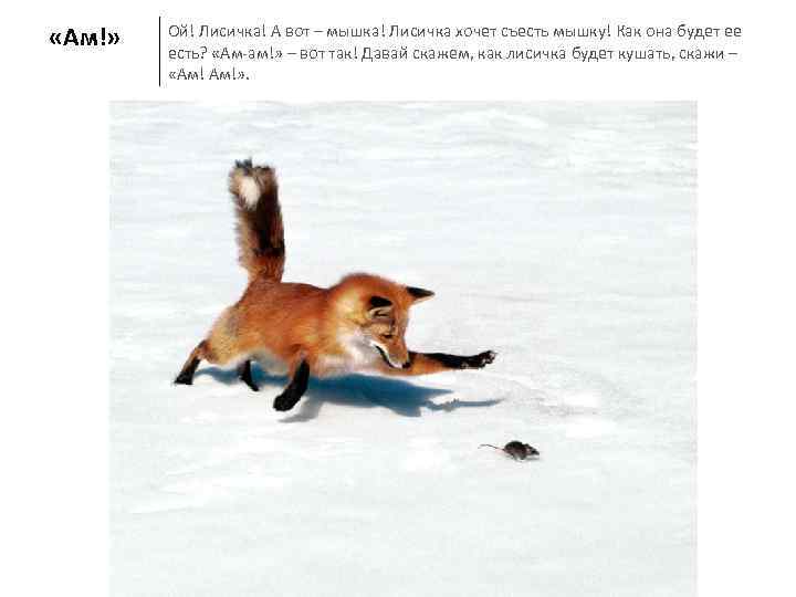  «Ам!»  Ой! Лисичка! А вот – мышка! Лисичка хочет съесть мышку! Как