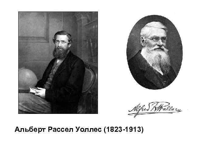 Альберт Рассел Уоллес (1823 -1913) 
