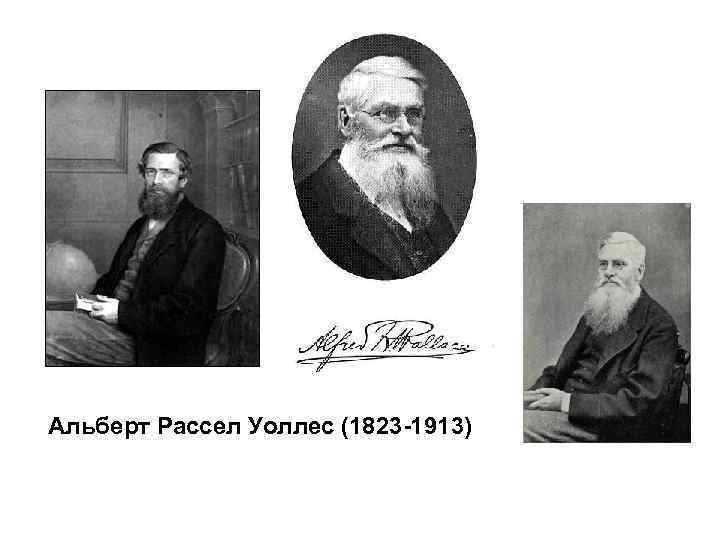 Альберт Рассел Уоллес (1823 -1913) 
