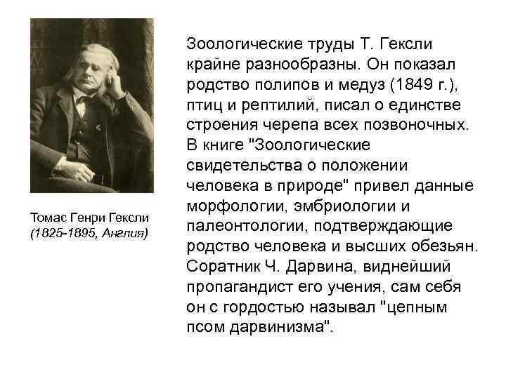      Зоологические труды Т. Гексли    крайне разнообразны.