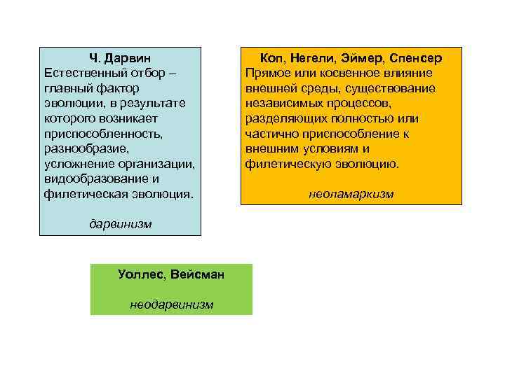  Ч. Дарвин    Коп, Негели, Эймер, Спенсер Естественный отбор –