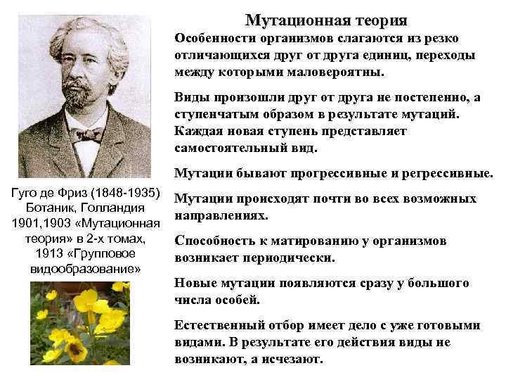        Мутационная теория     