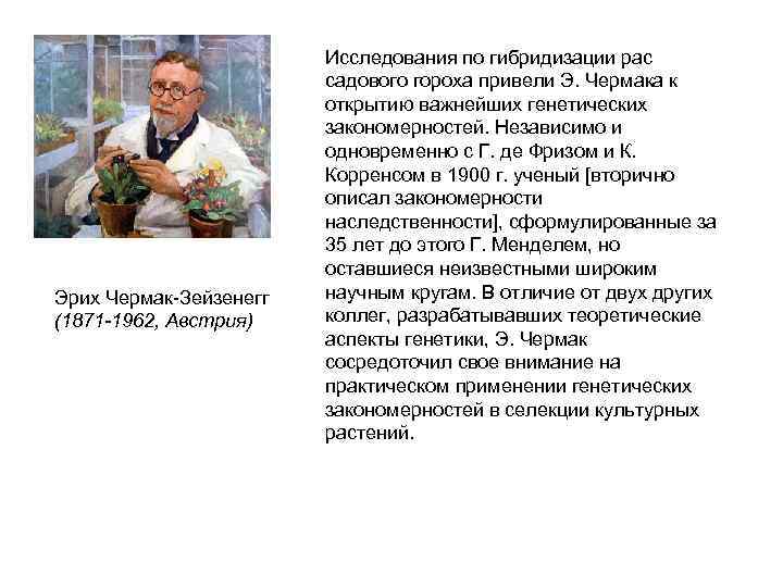     Исследования по гибридизации рас     садового гороха