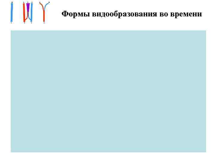 Формы видообразования во времени 