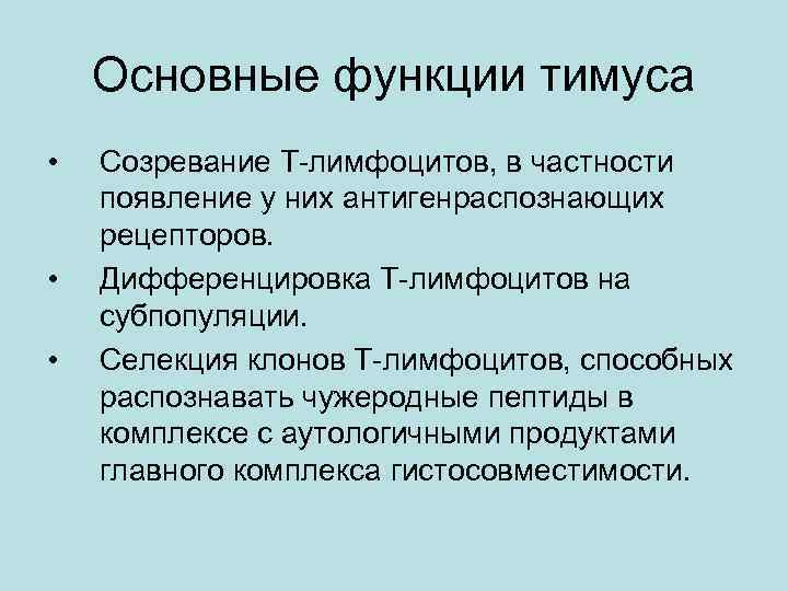 Основные функции тимуса • • • Созревание Т-лимфоцитов, в частности появление у них антигенраспознающих