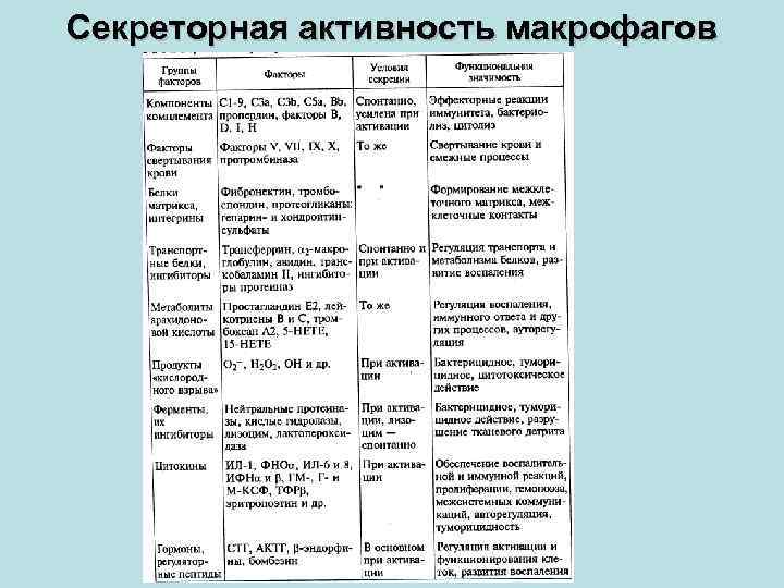 Секреторная активность макрофагов 