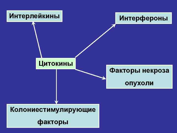 Презентация по иммунологии