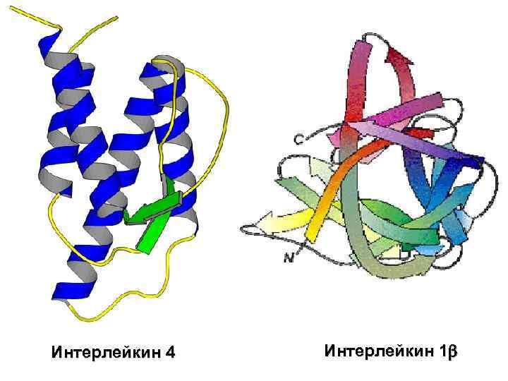 Интерлейкин 4 Интерлейкин 1 