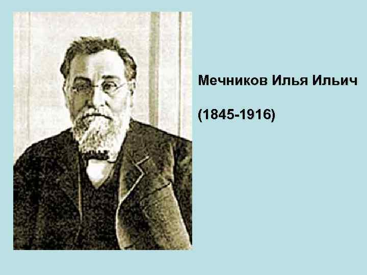 Мечников Илья Ильич (1845 -1916) 