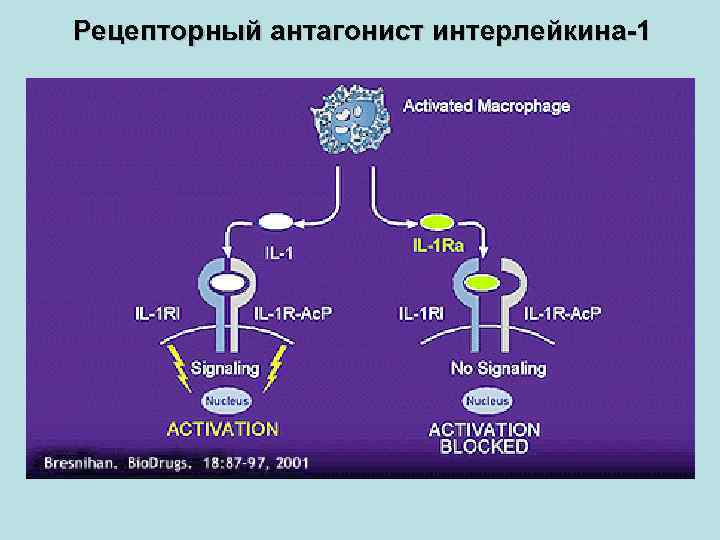 Рецепторный антагонист интерлейкина-1 