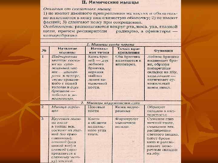    Диафрагма вид сверху n  1 — поясничная часть диафрагмы; 2