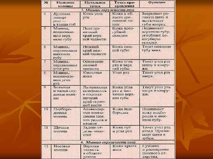 Диафрагма и мышцы задней стенки живота  n  1 — грудинная часть диафрагмы;