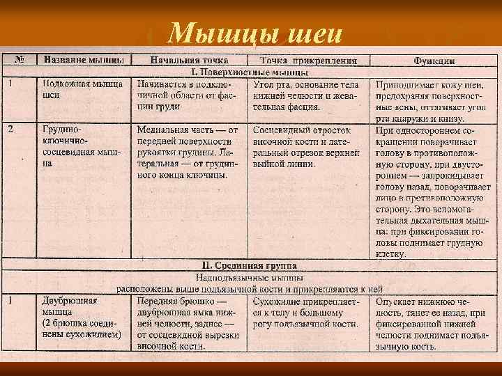    Мышцы таза вид сзади n  1 — большая ягодичная мышца;
