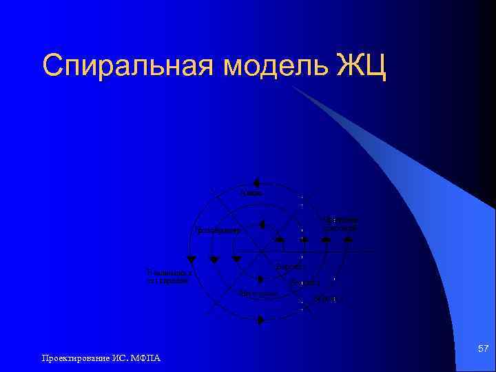 Спиральная модель ЖЦ Проектирование ИС. МФПА 57 