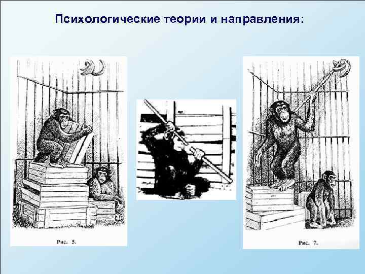 Психологические теории и направления: 