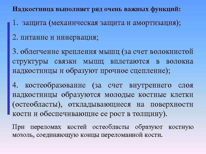 Надкостница выполняет ряд очень важных функций: 1. защита (механическая защита и амортизация); 2. питание