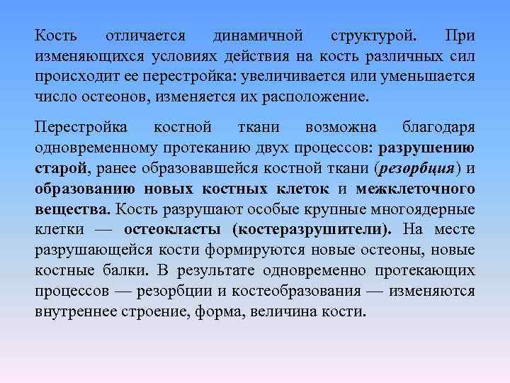 Кость отличается динамичной структурой. При изменяющихся условиях действия на кость различных сил происходит ее