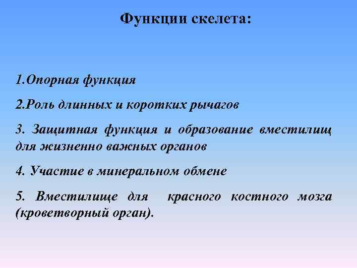 Функции скелета: 1. Опорная функция 2. Роль длинных и коротких рычагов 3. Защитная функция