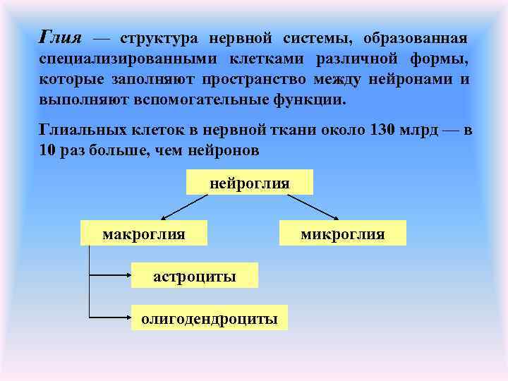 Глия — структура нервной системы, образованная специализированными клетками различной формы, которые заполняют пространство между