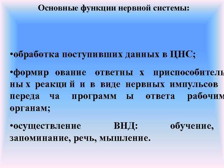  Основные функции нервной системы:  • обработка поступивших данных в ЦНС;  •