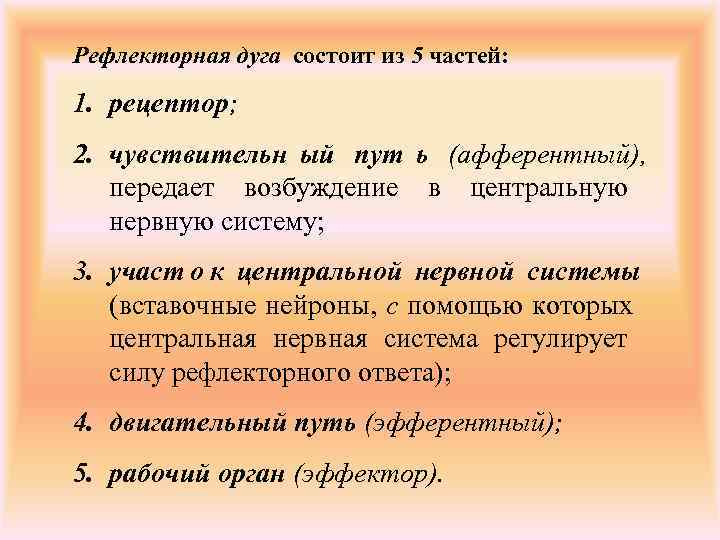 Рефлекторная дуга состоит из 5 частей:  1. рецептор; 2. чувствительн ый пут ь