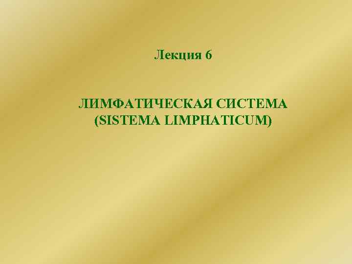   Лекция 6  ЛИМФАТИЧЕСКАЯ СИСТЕМА  (SISTEMA LIMPHATICUM) 