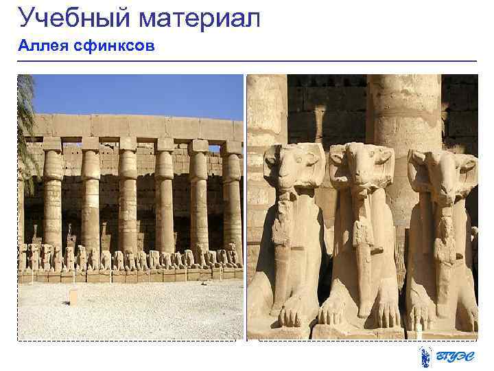 Учебный материал Аллея сфинксов 