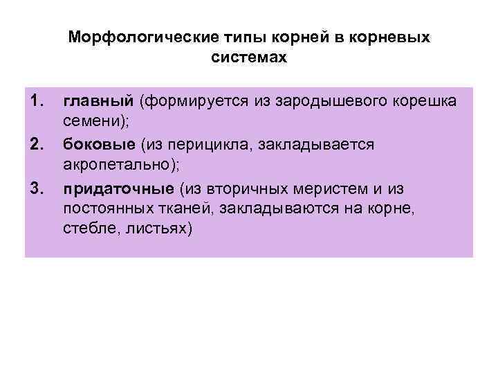 Морфологические типы корней в корневых системах 1. 2. 3. главный (формируется из зародышевого корешка