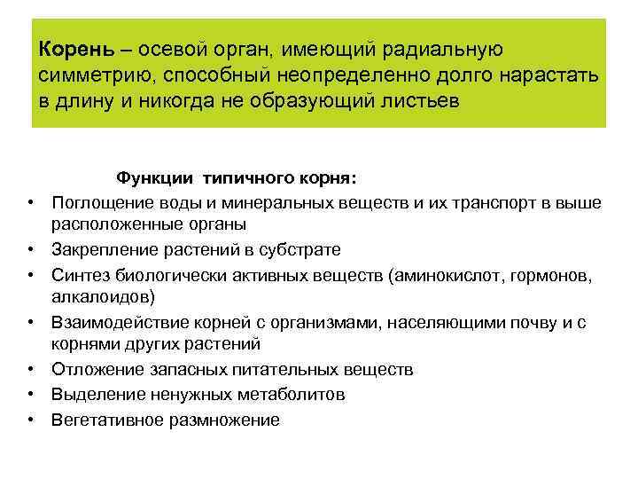 Корень – осевой орган, имеющий радиальную симметрию, способный неопределенно долго нарастать в длину и