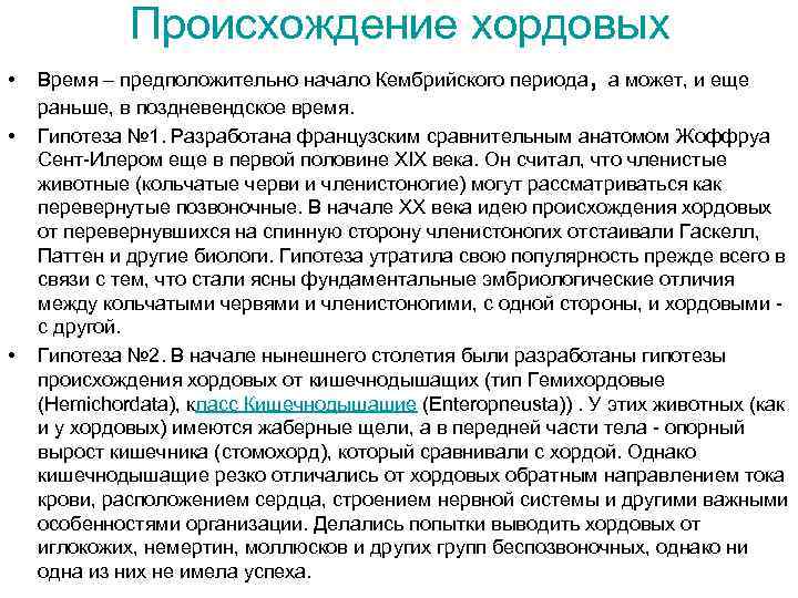 Происхождение хордовых • • • , Время – предположительно начало Кембрийского периода а может,