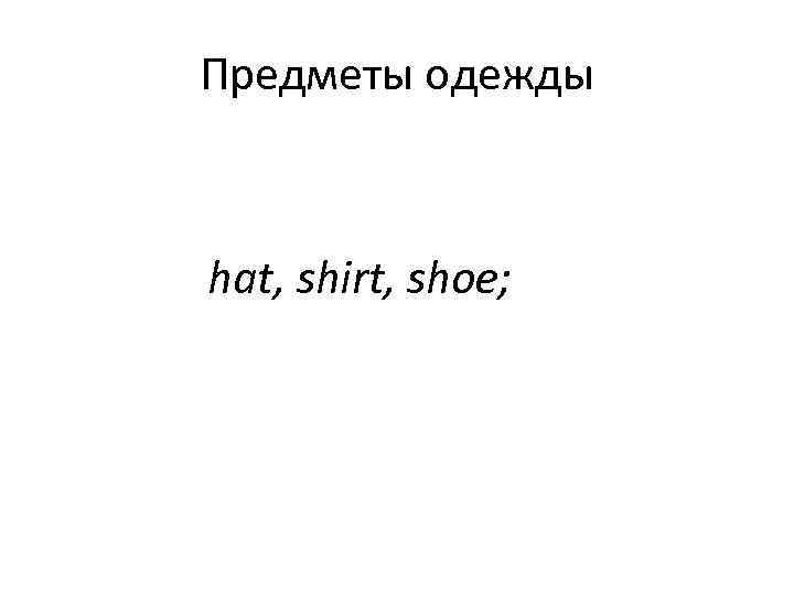 Предметы одежды  hat, shirt, shoe; 