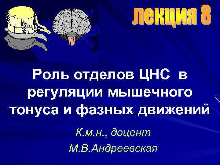 Роль отделов ЦНС в регуляции мышечного тонуса и фазных движений К. м. н. ,