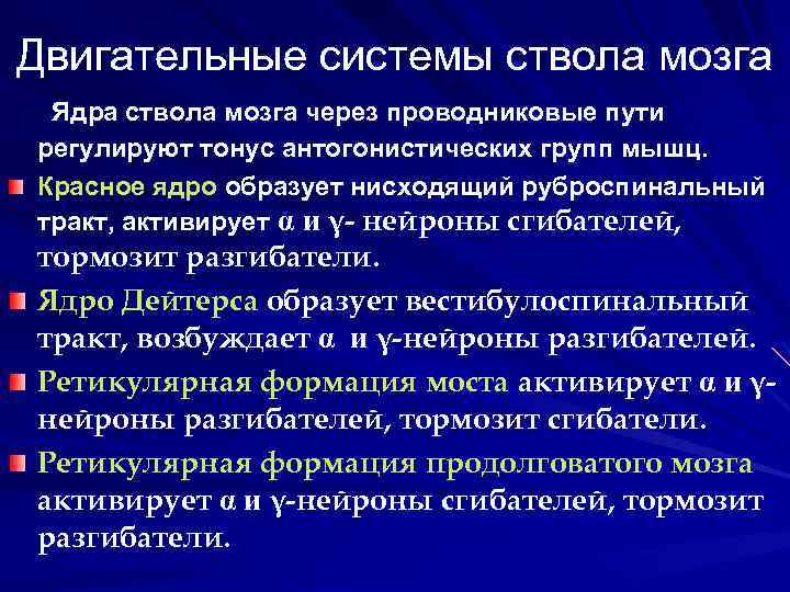 Двигательные системы ствола мозга Ядра ствола мозга через проводниковые пути регулируют тонус антогонистических групп