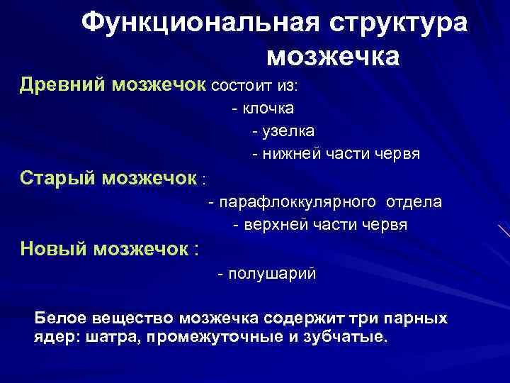 Функциональная структура мозжечка Древний мозжечок состоит из: - клочка - узелка - нижней части