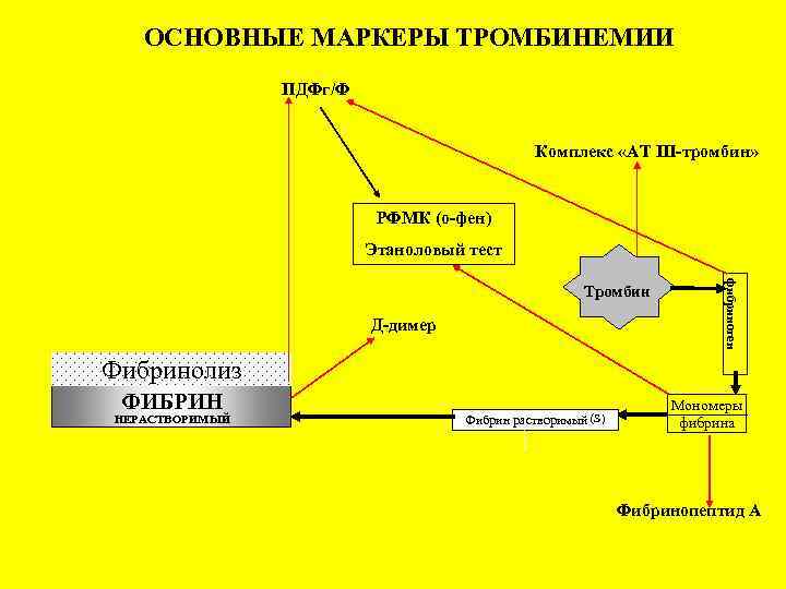 ОСНОВНЫЕ МАРКЕРЫ ТРОМБИНЕМИИ ПДФг/Ф Комплекс «АТ III-тромбин» РФМК (о-фен) Этаноловый тест Д-димер фибриноген Тромбин