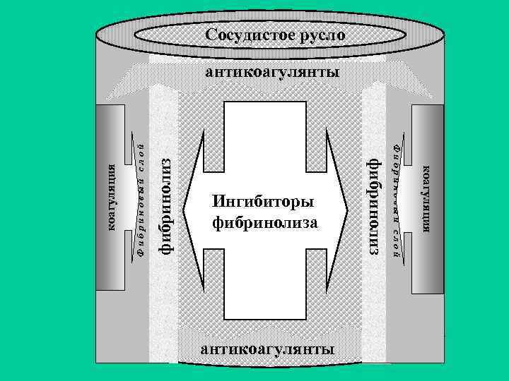 Сосудистое русло фибринолиз Фибриновый слой коагуляция антикоагулянты Фибриновый слой Ингибиторы фибринолиза фибринолиз коагуляция антикоагулянты