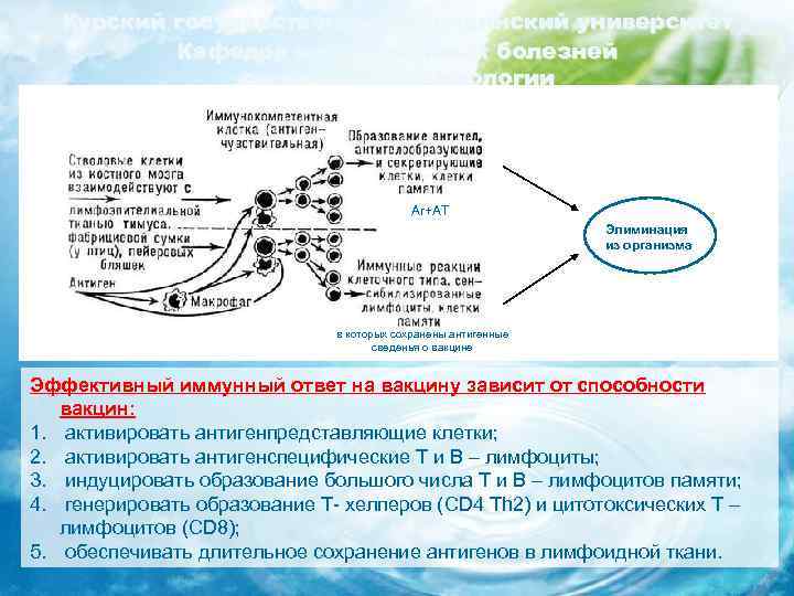 Курский государственный медицинский университет Кафедра инфекционных болезней с курсом эпидемиологии Аг+АТ Элиминация из организма
