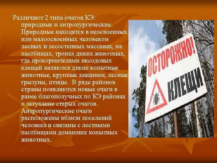 Различают 2 типа очагов КЭ: природные и антропургические. Природные находятся в неосвоенных или малоосвоенных