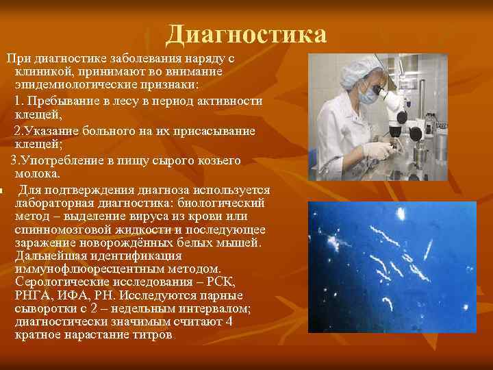 Диагностика При диагностике заболевания наряду с клиникой, принимают во внимание эпидемиологические признаки: 1. Пребывание