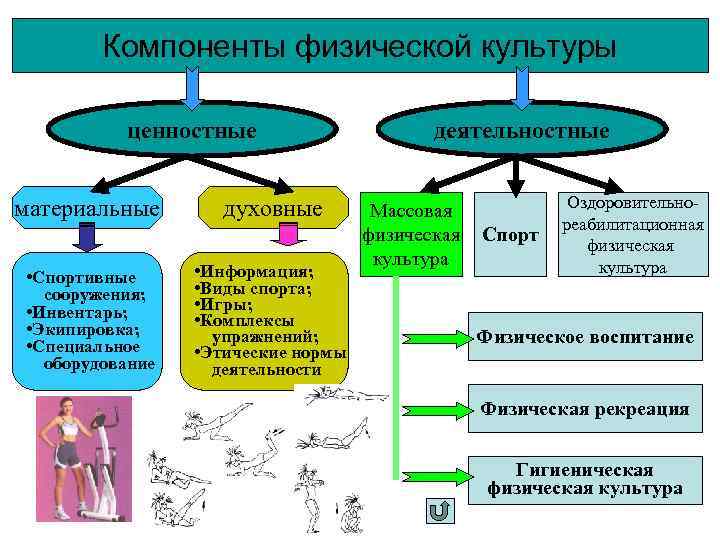   Компоненты физической культуры  ценностные    деятельностные  материальные 