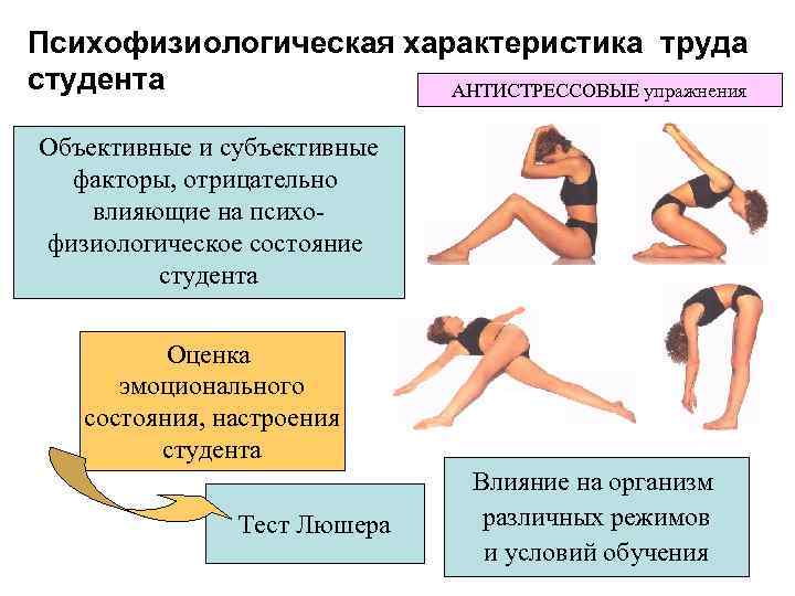 Психофизиологическая характеристика труда студента    АНТИСТРЕССОВЫЕ упражнения Объективные и субъективные  факторы,